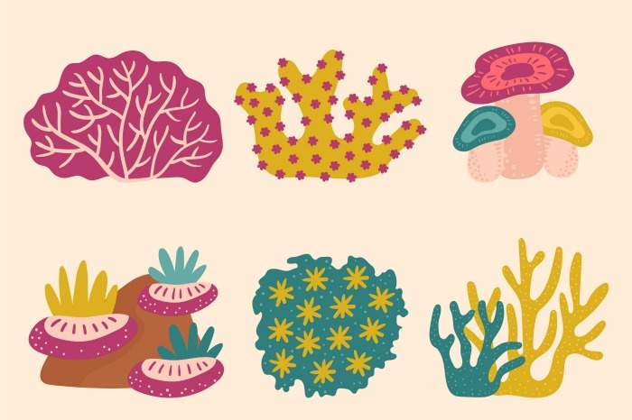 کیسه‌ تنان 