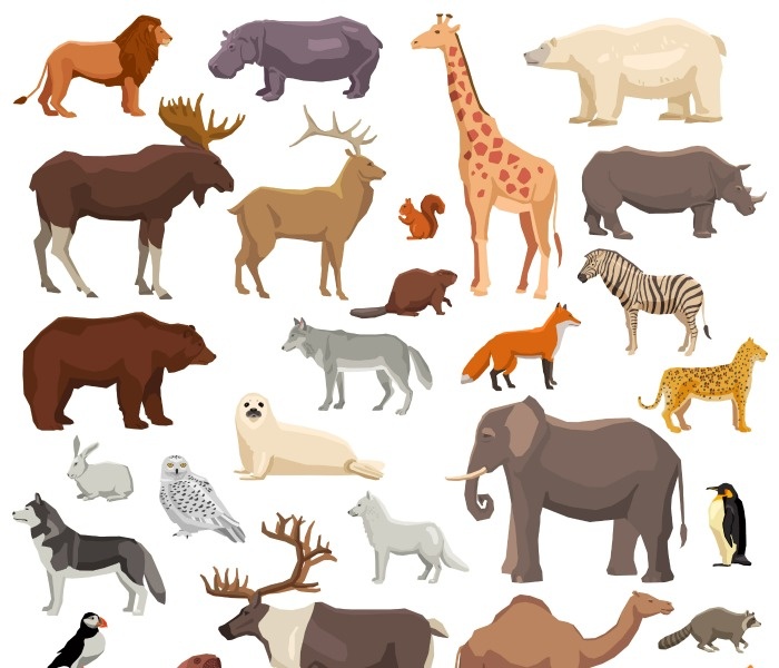 پستانداران