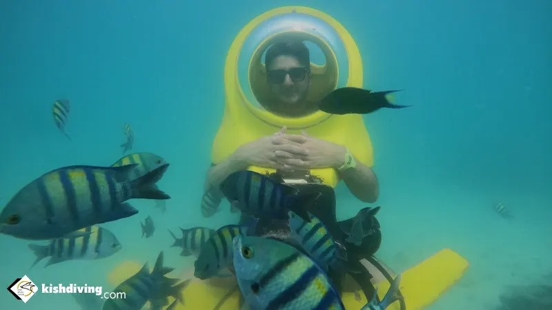 اسکوتر زیر دریایی کیش و تماشای موجودات دریایی بدون تجهیزات غواصی