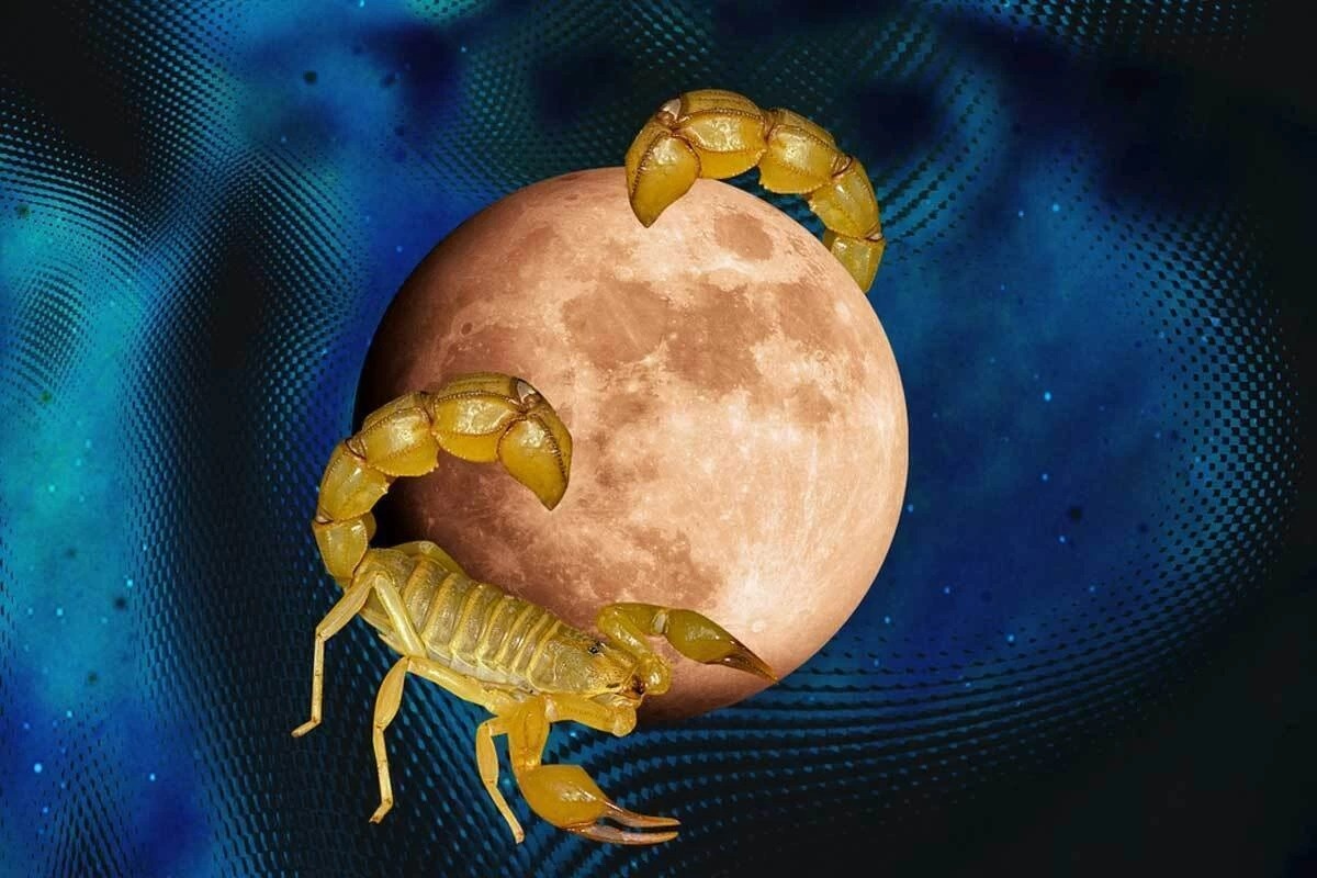 قمر در عقرب