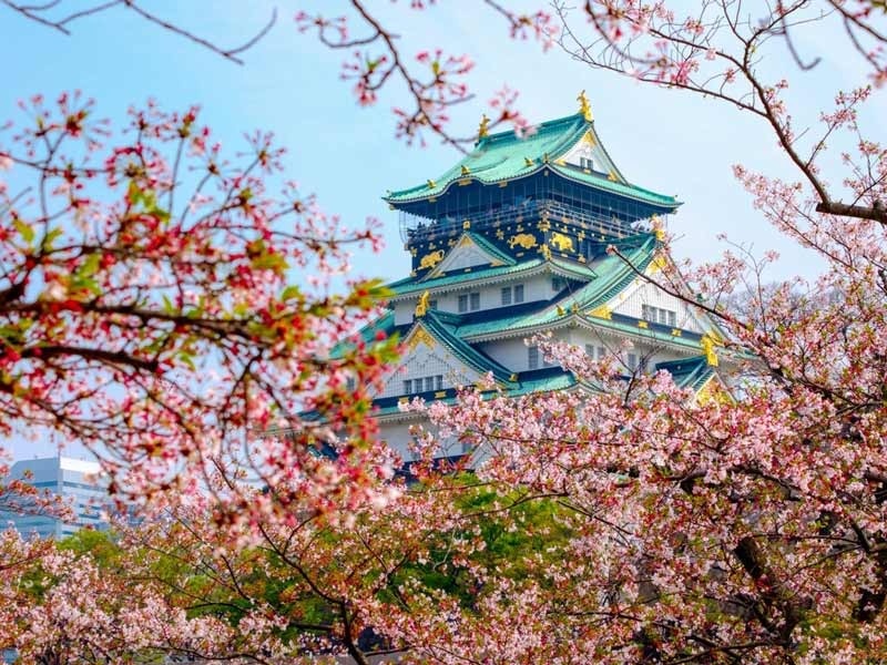 قیمت تور ترکیبی ژاپن و کره در نوروز ۱۴۰۵