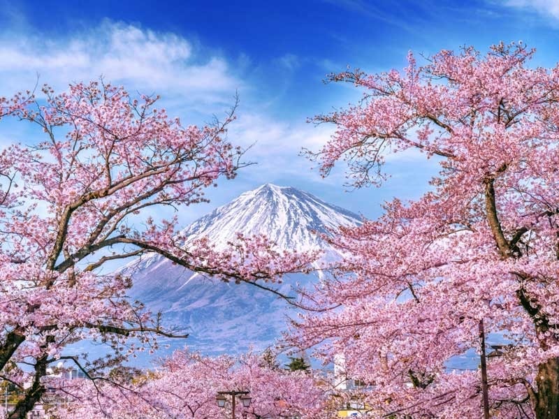 قیمت تور ژاپن در نوروز 1405 چقدر است