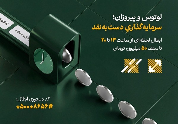 تامین سرمایه لوتوس پارسیان