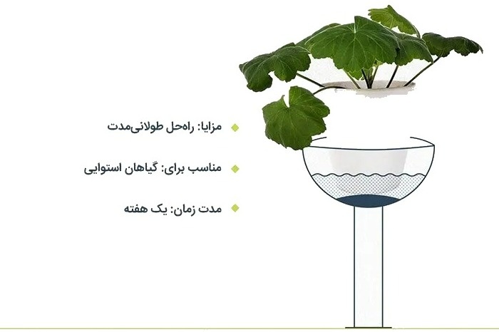 نحوه آبیاری گیاهان در سفر طولانی با روش وان آب