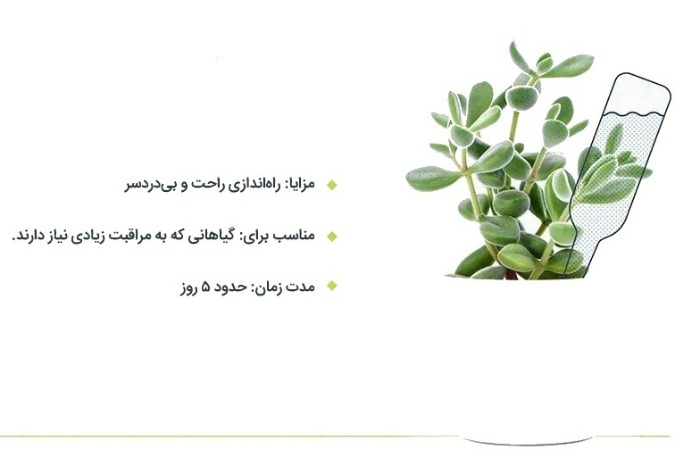 آبیاری گیاهان در سفر با حباب آبیاری
