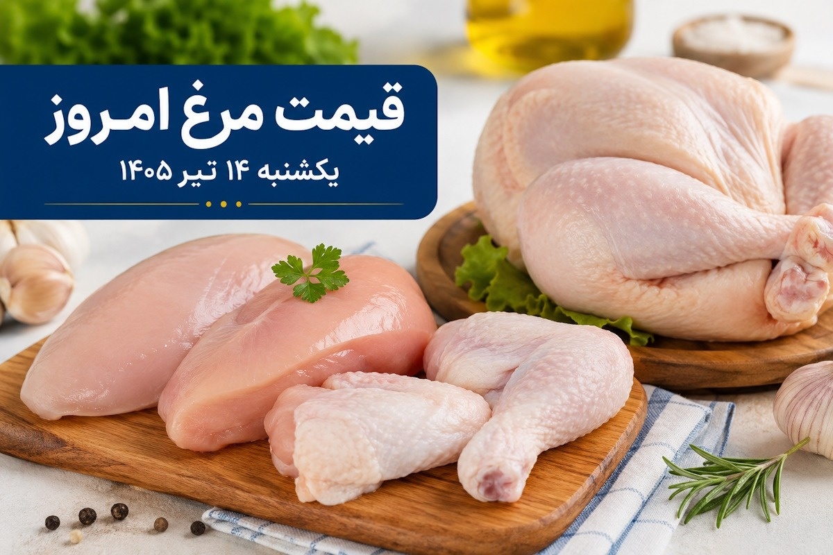 مرغ