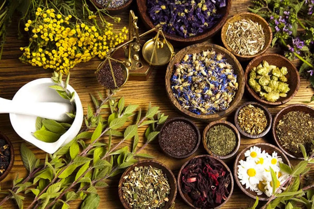 گیاهان دارویی