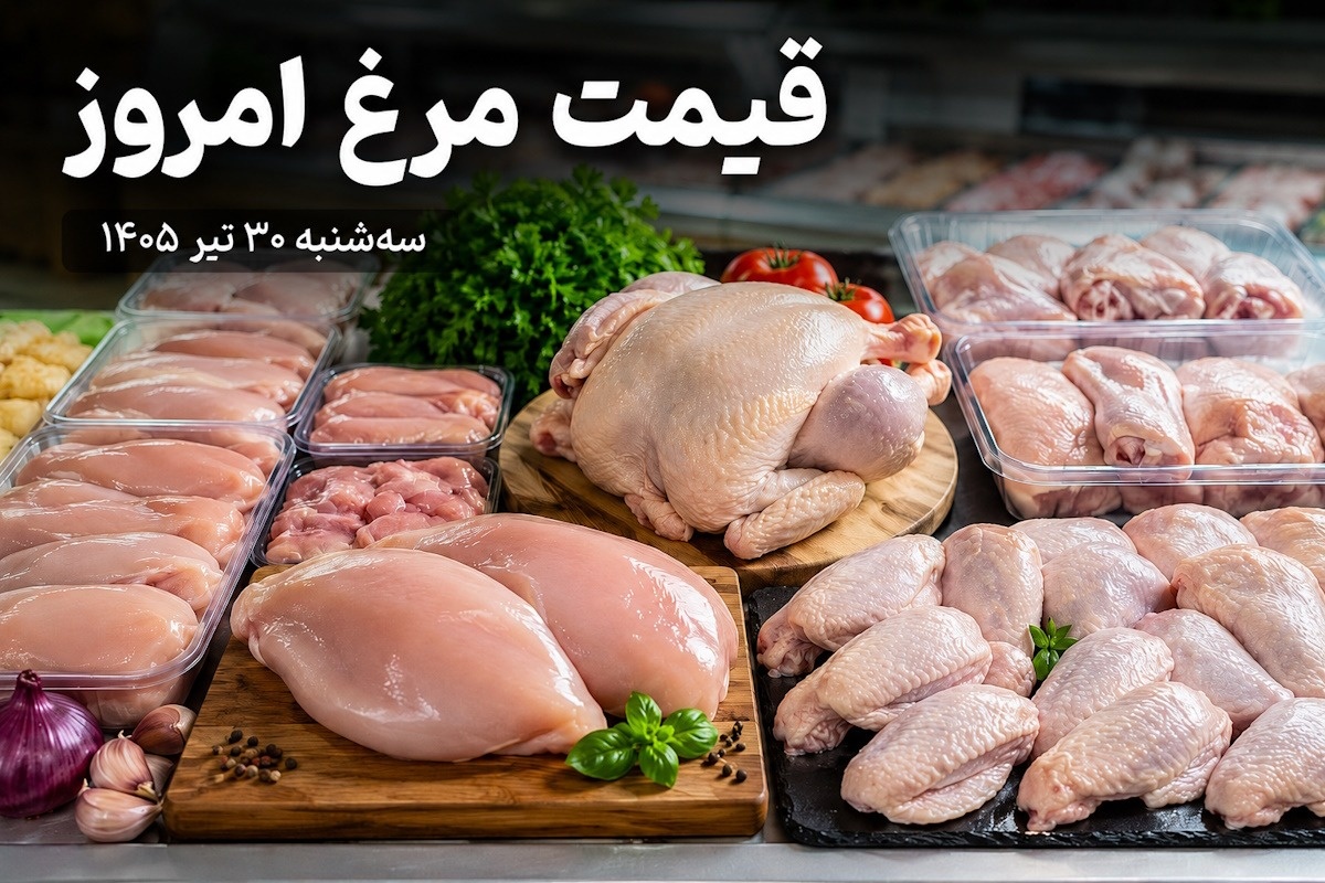 قیمت مرغ