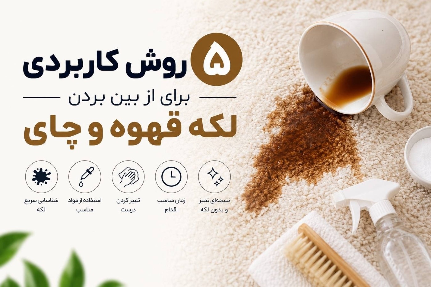 قالیشویی شهاب بهترین قالیشویی تهران