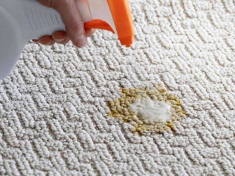 استفاده از محلول آب ولرم و مایع ظرفشویی قالیشویی شهاب