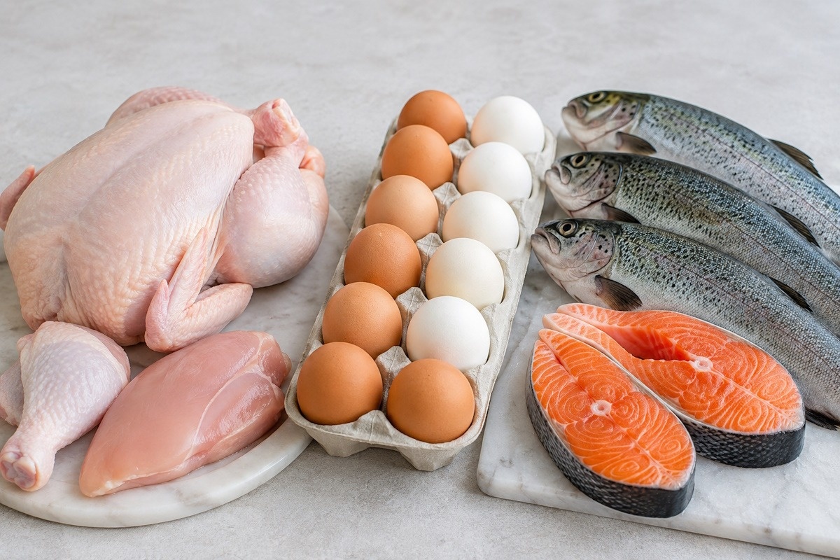 مرغ و ماهی و تخم مرغ