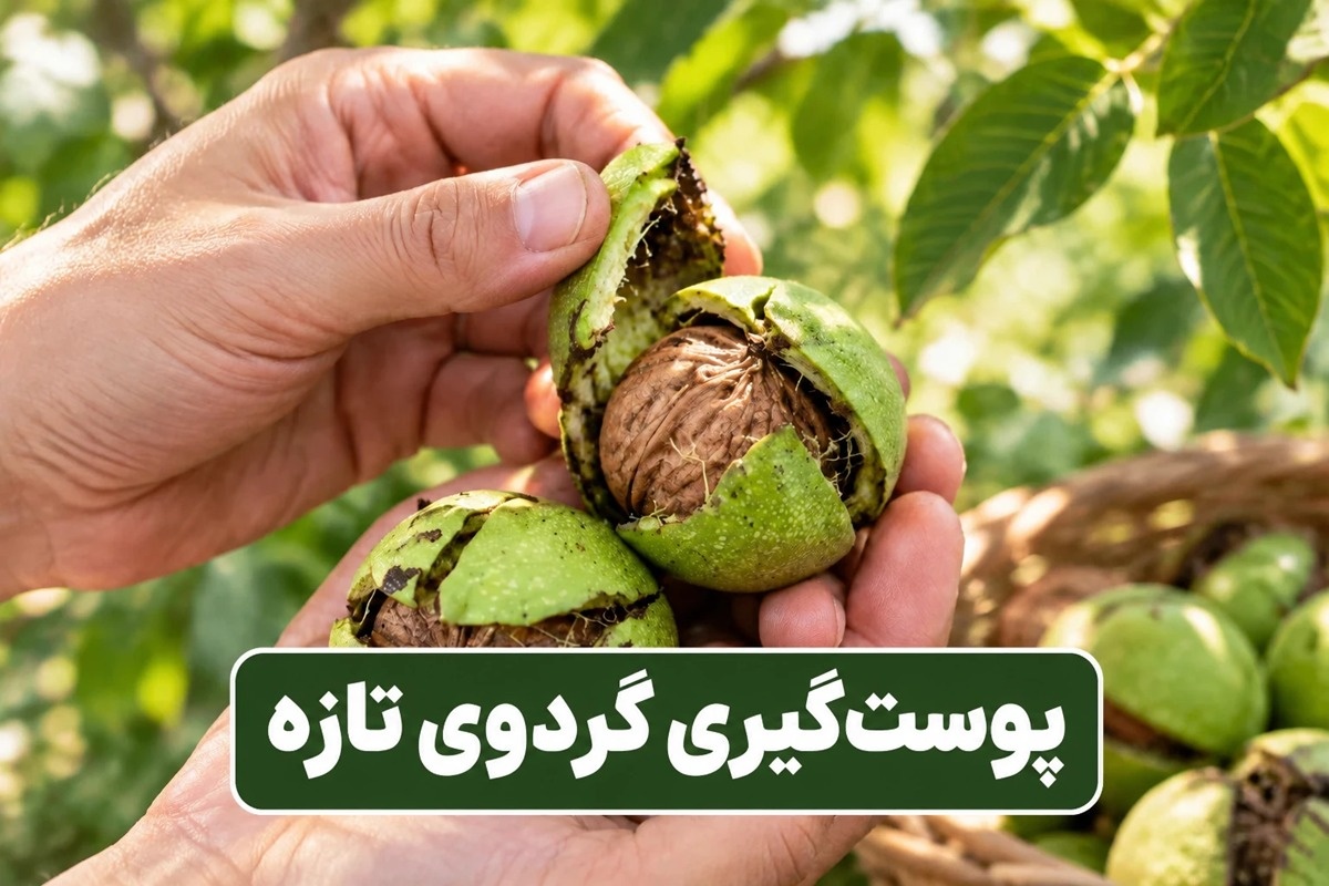 پوست گردو