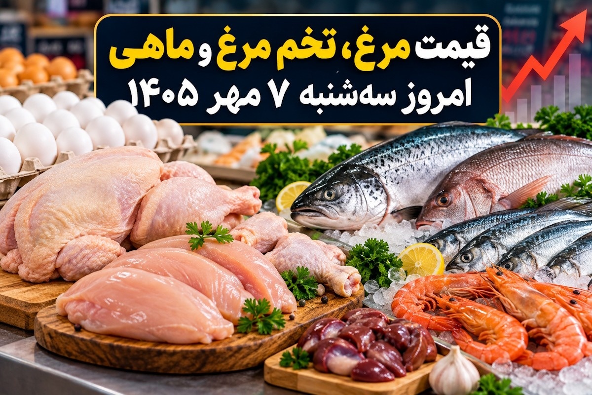 قیمت مرغ