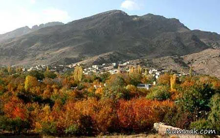 روستای فردو