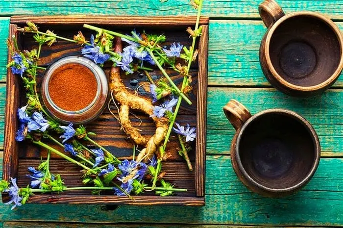 خاصیت ریشه کاسنی