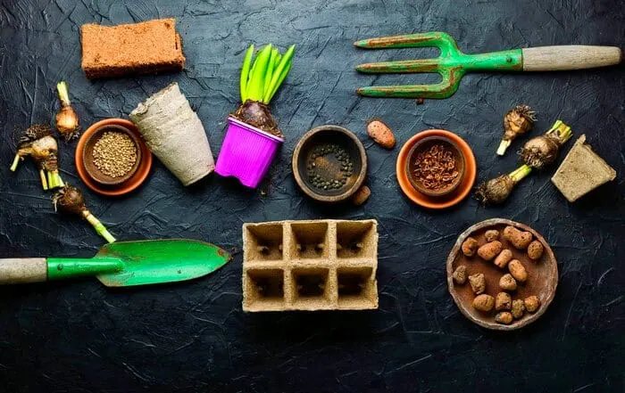 تکثیر گل سنبل
