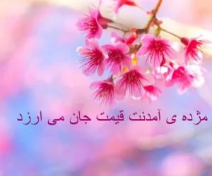 پیامک تبریک نیمه ی شعبان