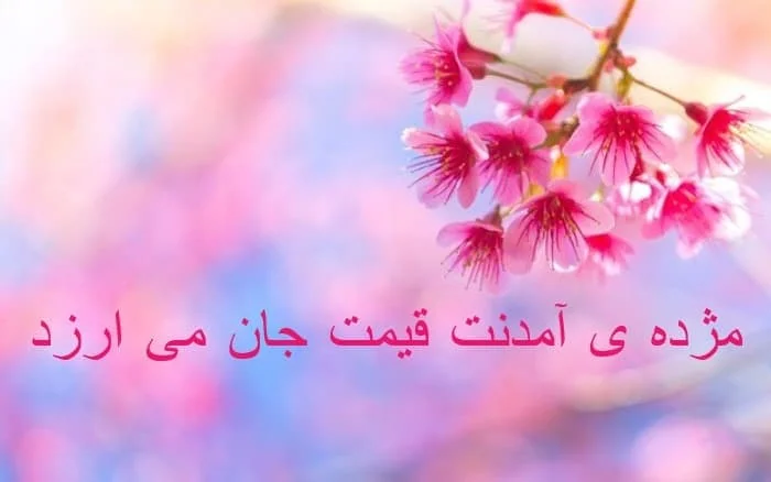 تبریک نیمه ی شعبان