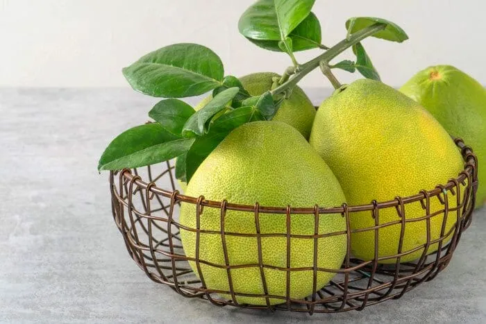 فواید دارابی