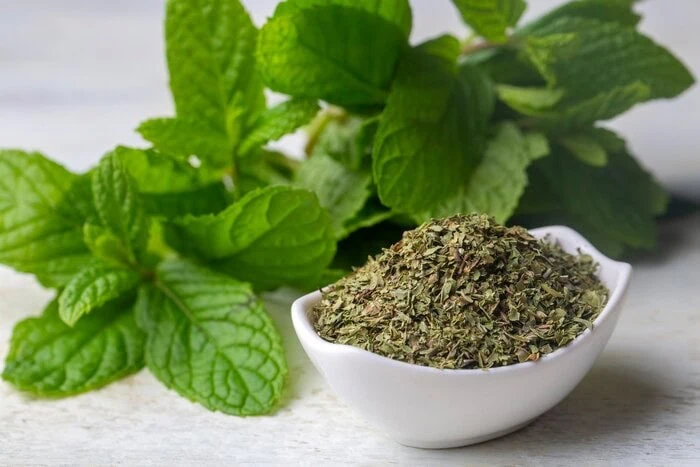 نعناع خشک