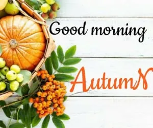 صبح بخیر به انگلیسی