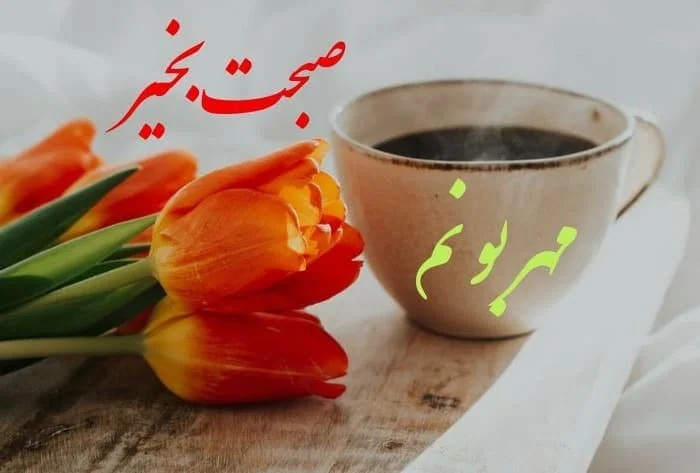 صبح بخیر مهربونم