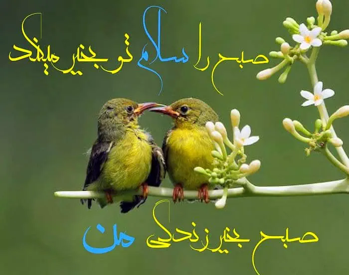 صبح بخیر پر انرژی برای عشقم کوتاه