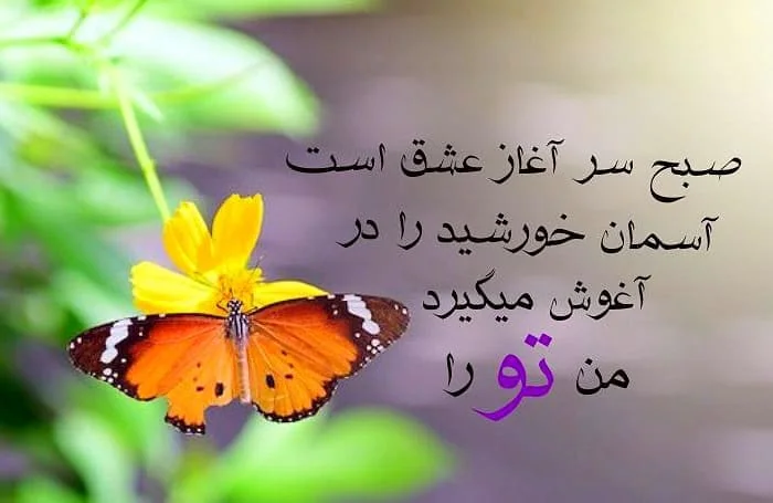 صبح بخیر همسر