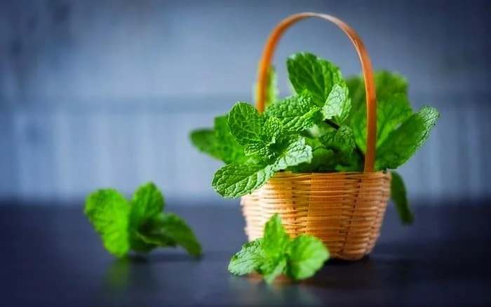 خوش اخلاقی با بوی نعناع