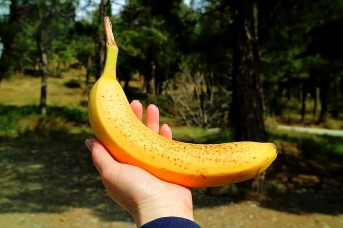 خواص خوردن موز ناشتا