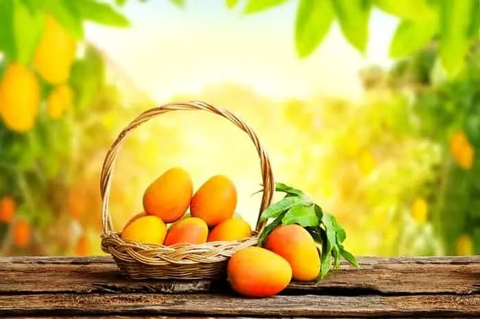خواص انبه برای پوست ومو