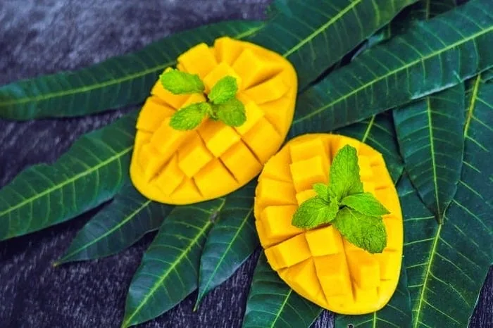 ماسک انبه