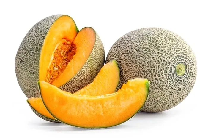 طالبی