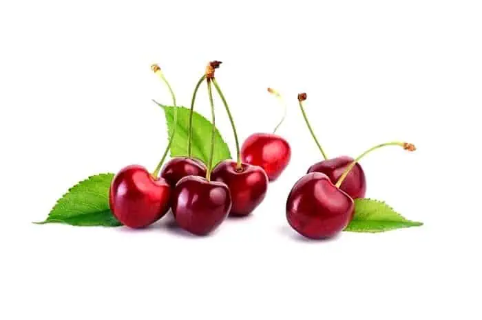 گیلاس و آلبالو