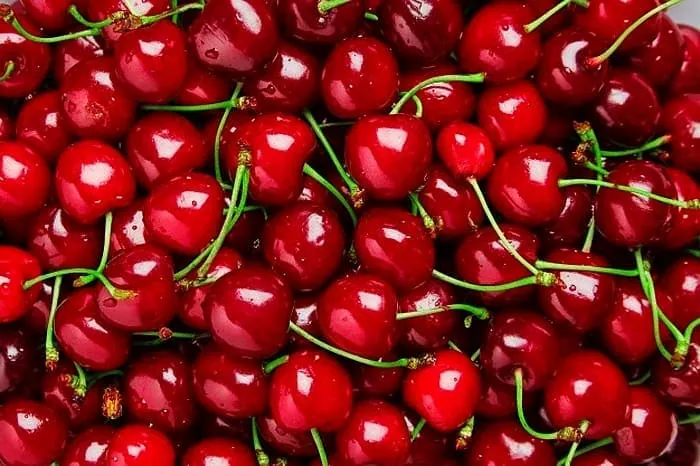 تاثیر گیلاس بر جنین