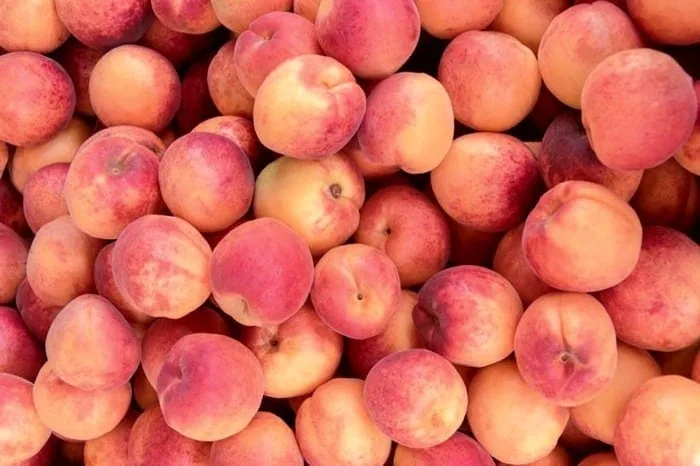 هلو برای زن باردار