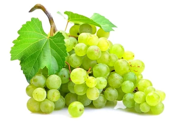 خواص انگور در بارداری