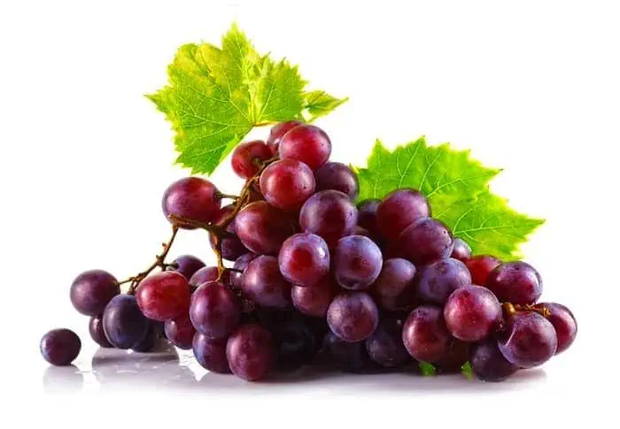 انگور و آب انگور