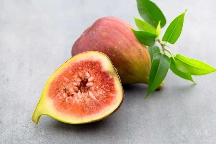 انجیر برای روده 