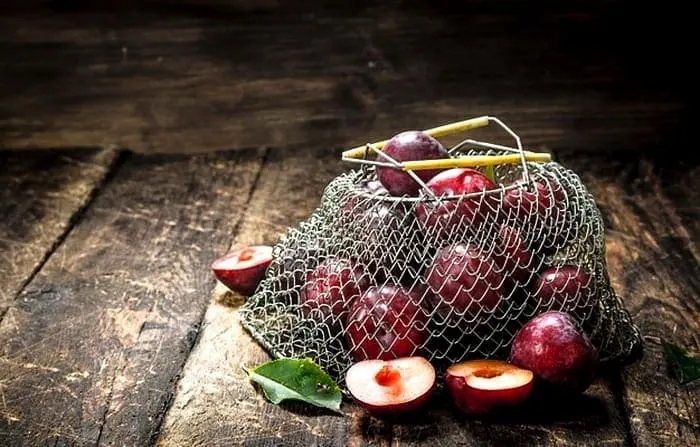 مضر برای اسهال