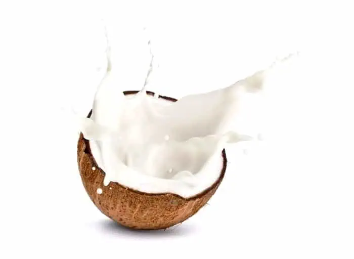 شیر نارگیل 