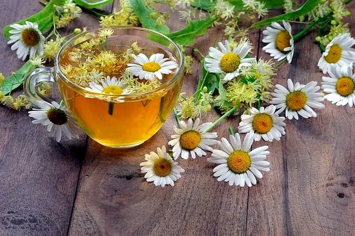 چای بابونه