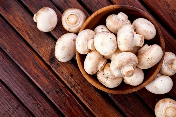 روش نگهداری قارچ