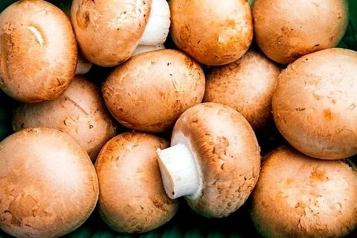 کاهش وزن