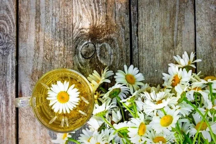 بابونه ضد تهوع خانگی