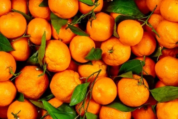 برگ نارنگی روشی برای درمان خانگی کبودی درمان سریع کبودی
