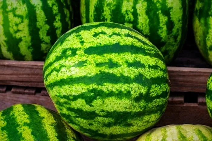 هندوانه