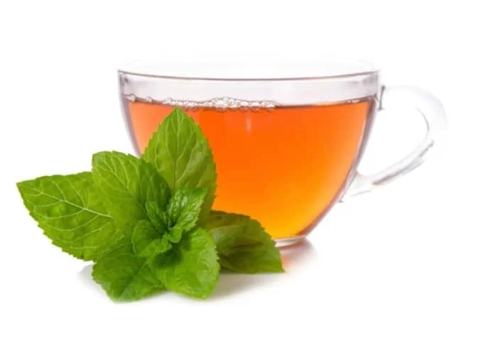 چای پونه