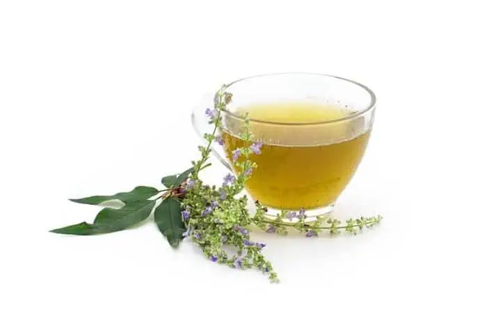 رهایی از استرس مزمن نوشیدن چای سبز