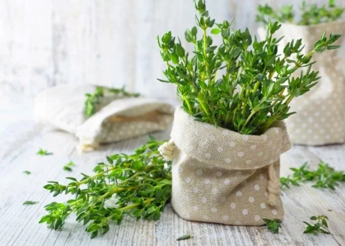 عوارض روغن آویشن